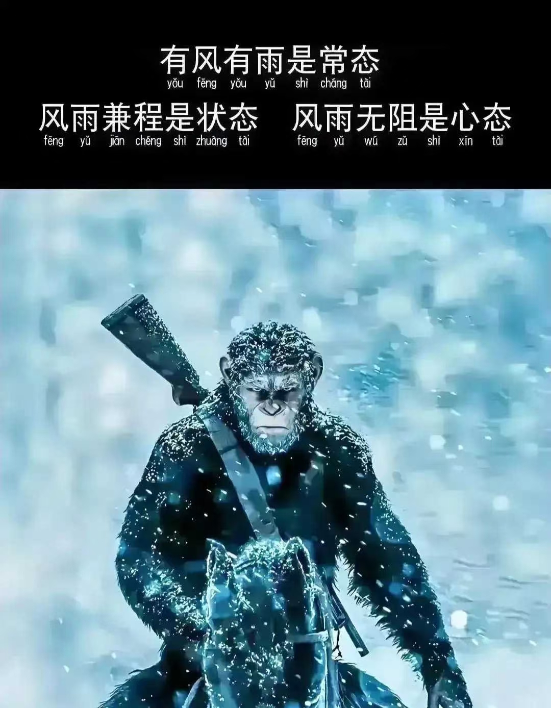 熊猫体育官方-欲罢不能：对手锋芒毕露势均力敌